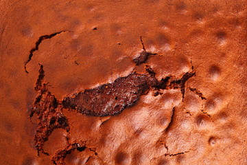 Freshly Baked Gingerbread Cake