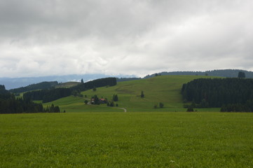 Obraz premium paysage vert