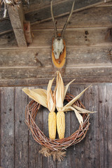 Winter decoration with corn and horns