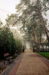 Quiet deserted seafront and autumn city park. Wet foggy autumn morning in the UK and the south coast