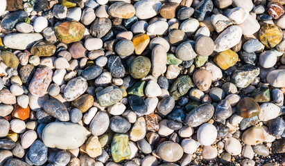 Colorful sea pebbles on the beach with bright sunlight