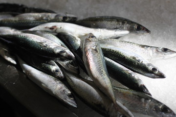 fresh fish on ice at the market in funchal at madeira island