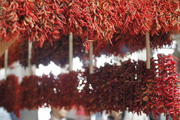 dried chili peppers on a market in Funchal at madeira island 