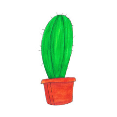 Green watercolor cactus in a pot isolated on white background