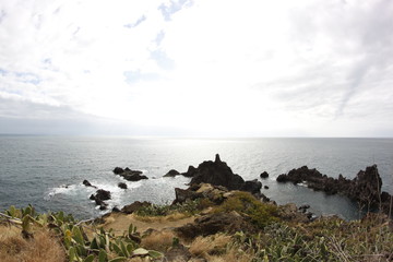 sea landscape with rocks in funchal at madeira island