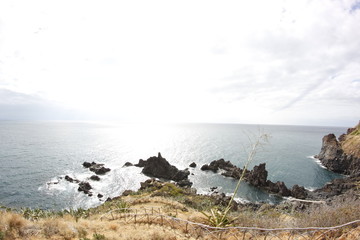 sea landscape with rocks in funchal at madeira island