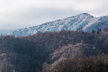 Parco Nazionale delle Foreste Casentinesi, Italy