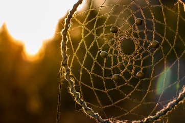 Dreamcatcher on the sunset background
