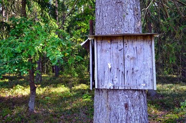 old bulletin board nailed to a tree in the woods