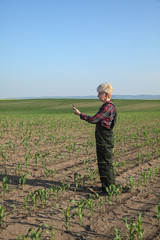 Fototapeta premium Agricultural scene, female farmer in corn field