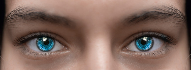 Blue eyes of a girl photographed close-up. - obrazy, fototapety, plakaty