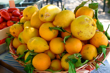 froh bio lemons from italy