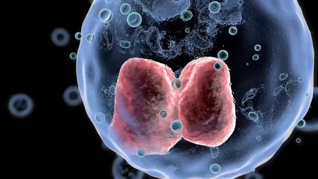 Cells under a microscope Cell division Cellular Therapy