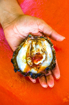 Close up of hand holding oyster in shell