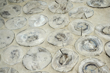 Tree trunk made in to a floor in salt mine