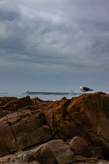 rocks and sea