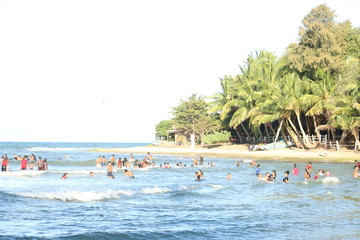 swimming pool in tropical resort