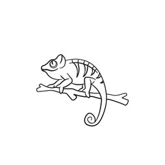 Chameleon cartoon illustration 