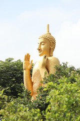 golden buddha statue