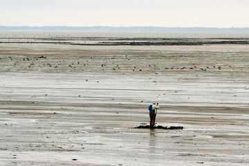Fototapeta na wymiar un homme pêche à pied au passage du gois noirmoutier france
