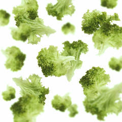 Flying lettuce leaves over white background, isolated