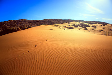 Fototapeta na wymiar Sand dunes of Erg Chebbi in the Sahara Desert, Morocco.