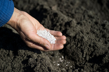 The hand of a woman farmer holding a handful of white fertilizer granules on the background of an...