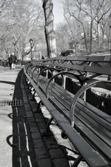 Line of benches in Central Park