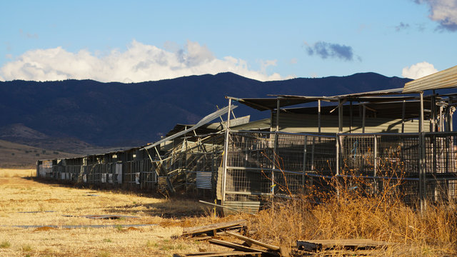 Close up view of old and abandoned livestock pens once used for fairs and rodeos sit in a rural field in the southwest.