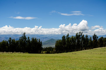 Fototapeta na wymiar beautiful landscape in te peruvian andes