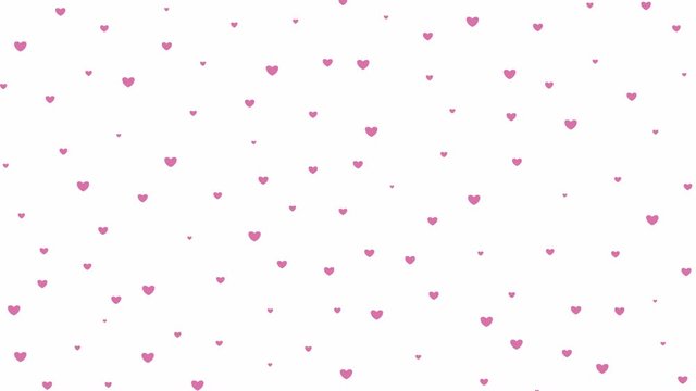 pink hearts fly from top to bottom. rain of hearts isolated on white background