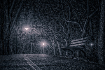 pusta ławka w nocnym parku