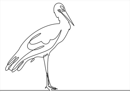 recommend clip art: Continuous line drawing stork. Template for your design works. Vector illustration.