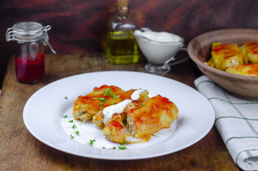 Homemade cabbage rolls with carrots, red tomato sauce and cream on a white plate