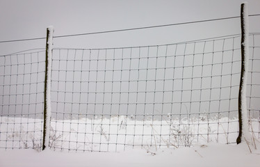 Gitterzaun im Winter