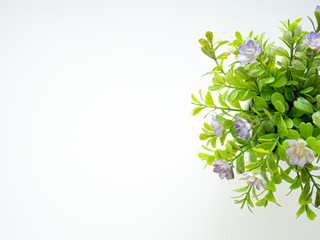 Fresh purple petal floral bouquet and green leaves blossom in flower pot gift for romantic celebration in Valentine spring day on isolated white background with left copy space