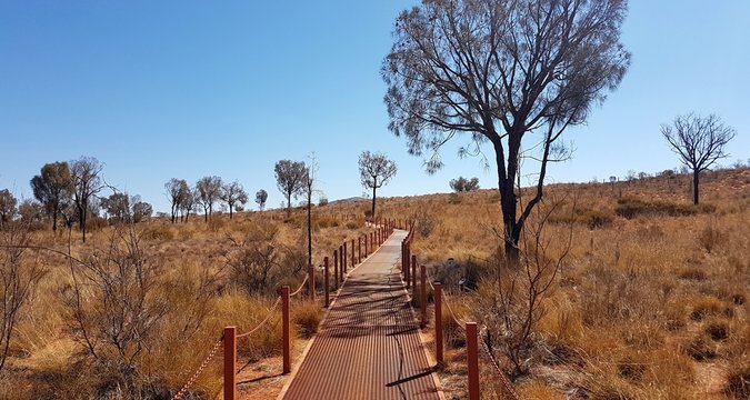 Australia - Sentiero nel deserto