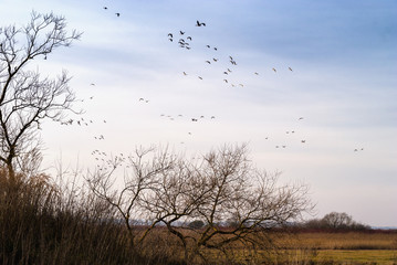 Twierdza Osowiec - fort II Zarzeczny,Osowiec, Biebrza, Podlasie, Polska	