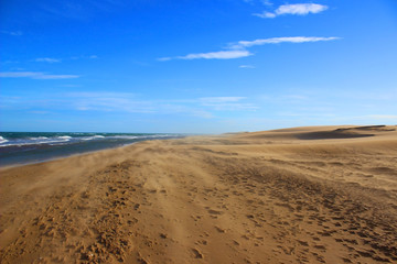Fototapeta na wymiar Windy beach with clear sky