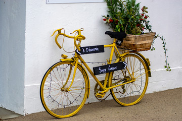 Fototapeta na wymiar vélo jaune peint pot de fleurs 