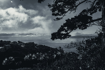 Wellington in a foggy morning; black and white style