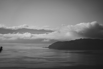 Fototapeta na wymiar Wellington in a foggy morning; black and white style