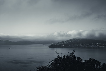 Wellington in a foggy morning; black and white style