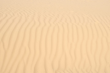 Fototapeta premium wrinkled desert sand texture. Beach, Africa background