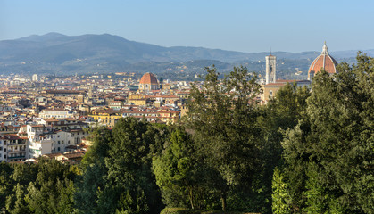 Fototapeta premium Boboli Gardens is a park in Florence. One of the best park ensembles of the Italian Renaissance. Boboli Gardens are located on the slopes of Boboli Hill behind the Pitti Palace.
