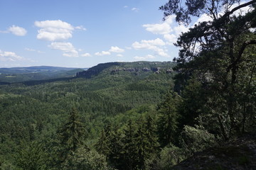 Forest and rock panorama from the Schrammsteine mountains in Saxon Switzerland