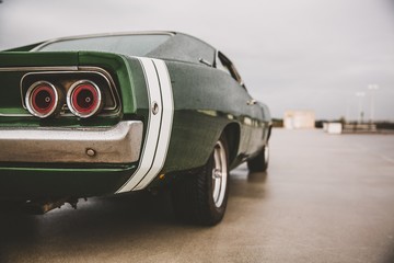 Closeup shot of a green muscle car on a blurred background - obrazy, fototapety, plakaty