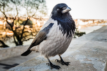 Budapest city attractions