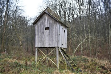 Old wood cabin in fores