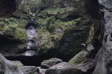 Sandstone cliff with moss spotted on our tour through the Wilde Holle